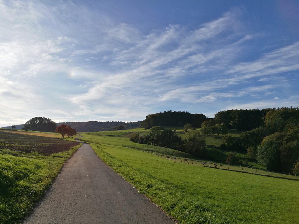 Feldweg im Odenwald